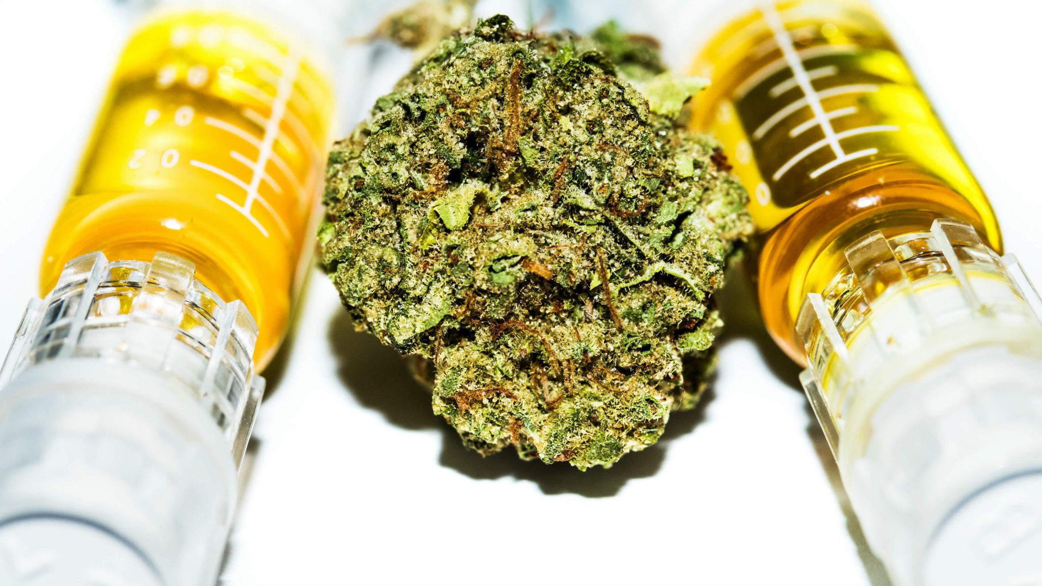 The Complete Beginner’s Guide to Cannabis Oil