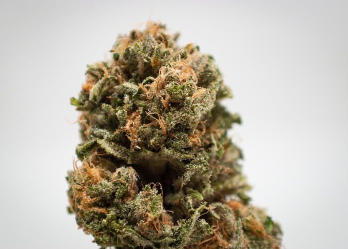 Blue Dream Strain: The Best in the West?