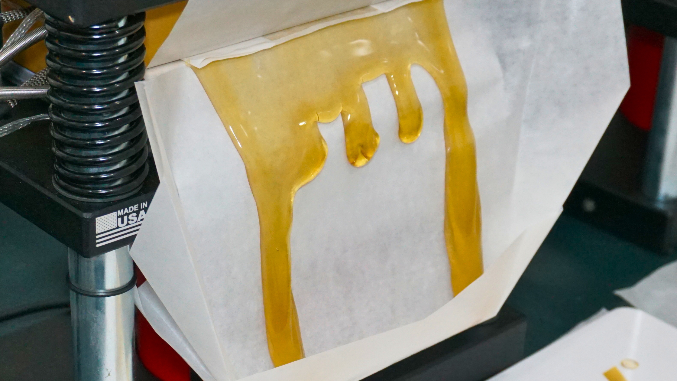 Fresh live rosin dripping during solventless extraction process